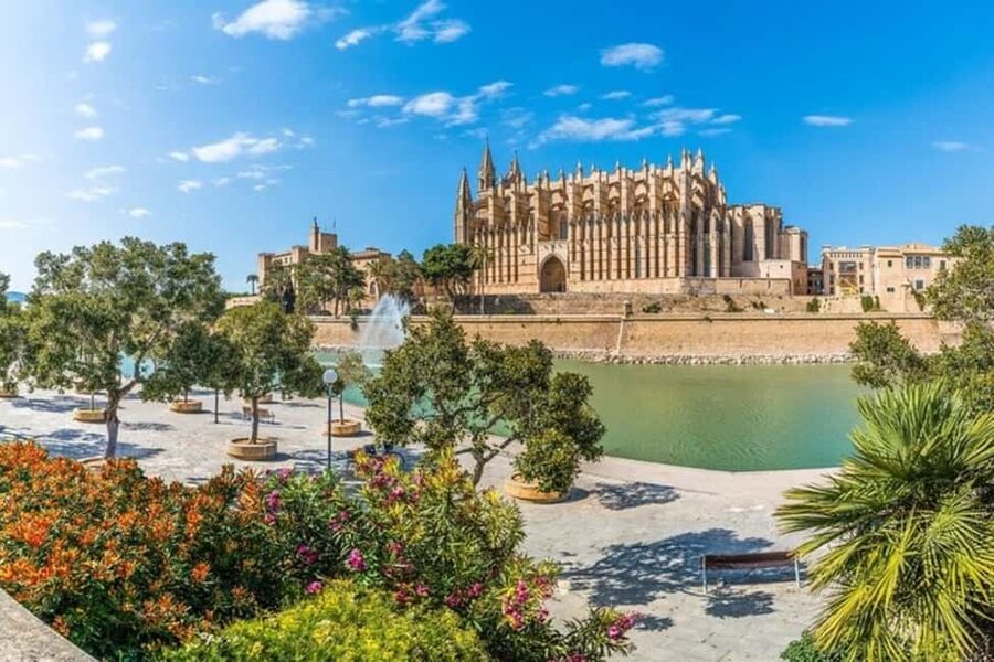 Palma de Mallorca : Best Street Food Tour With A Local Guide - Es Baluard Museum: food with a view