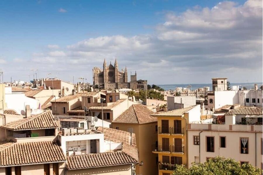 Palma de Mallorca : Best Street Food Tour With A Local Guide - Tapas, Gildas, and the value of a flexible guide