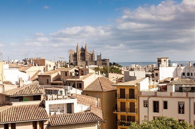 Palma de Mallorca Street Food Tour With A Local Guide - Who will enjoy this Palma walk?
