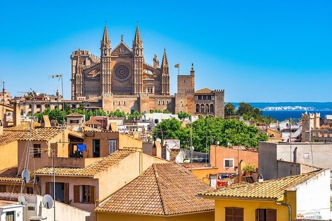 Palma de Mallorca Street Food Tour With A Local Guide - Spending an hour near Es Baluard