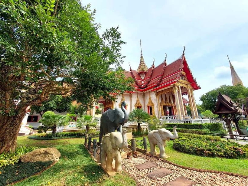 Phuket City Tour with Night Market Visit & Elephant Feeding - Why the elephants make this tour different