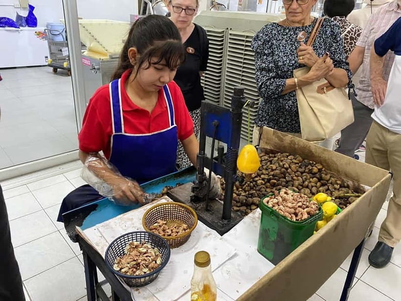 Phuket City Tour with Night Market Visit & Elephant Feeding - Wat Chalong in a short visit