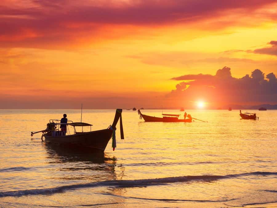 Phuket: Sunset View and Seafood Market Dinner Guided Tour - Reading the stalls at Rawai Seafood Market