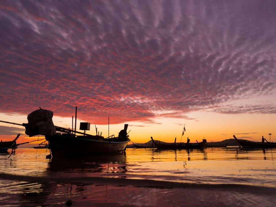 Phuket: Sunset View and Seafood Market Dinner Guided Tour - Who will get the most from this Phuket evening