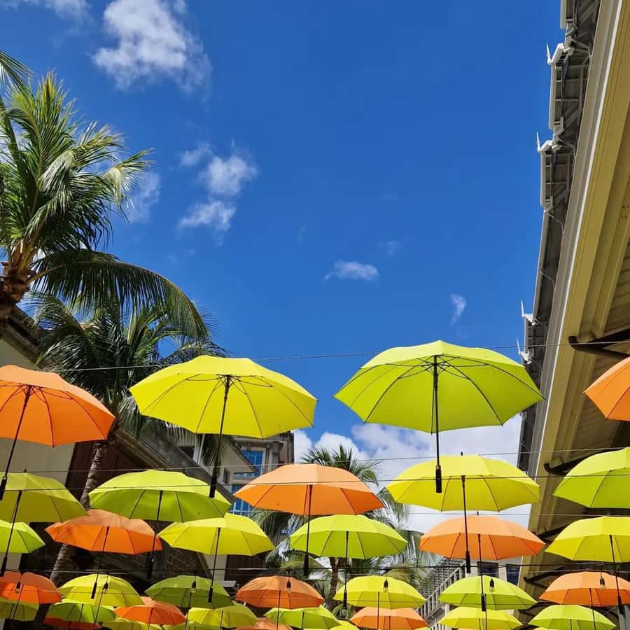 Port Louis: City Tour with Street Food Tasting - Fort Adelaide and the old city views