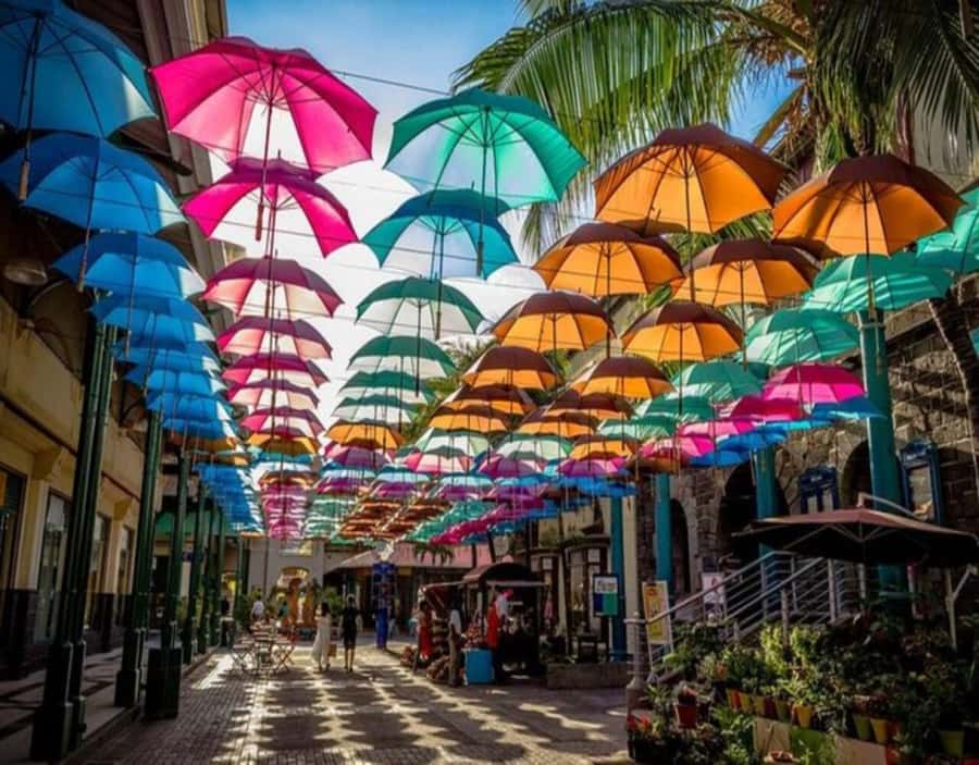 Port Louis: Private Guided Tour and Street Food Tasting - Aapravasi Ghat and Mauritius’s immigration story
