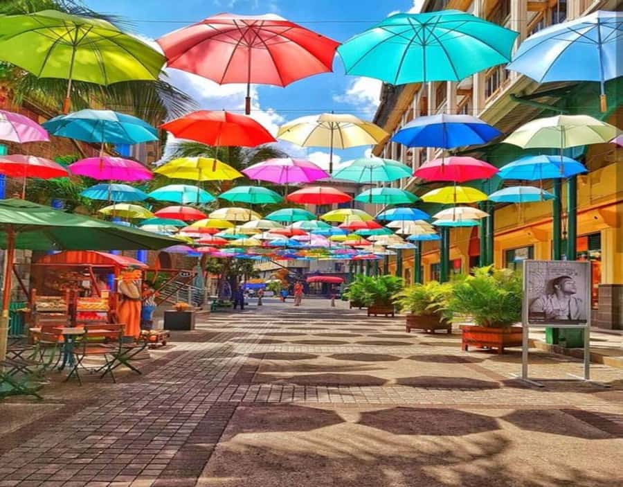 Port Louis: Private Guided Tour and Street Food Tasting - Central Market: herbs, spices, and the city’s daily rhythm