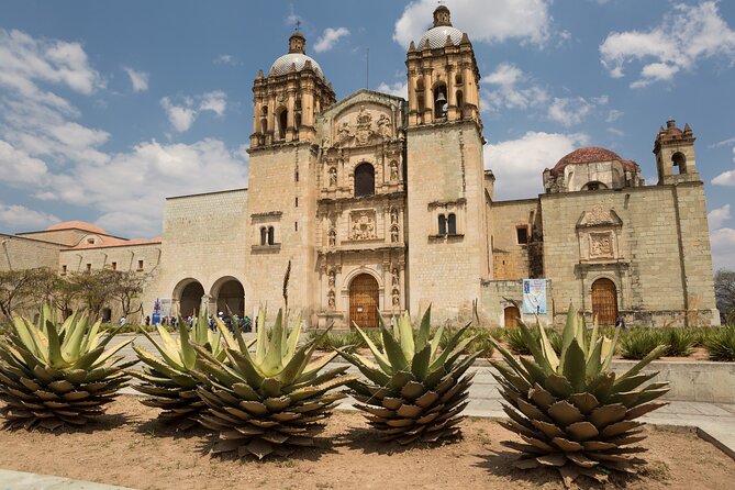 Private Historic City Tour + Street Food of Oaxaca - Best Rated - Mercado 20 de Noviembre is the main food stop