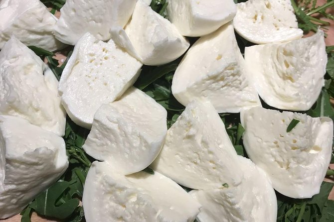 Roman Food Tour with Visit to the Trionfale Food Market - Mercato Trionfale, Rome’s working food market