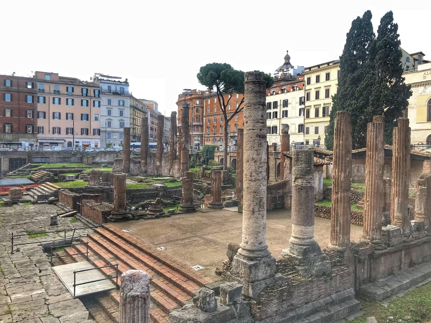Rome Street Food: Delights at Campo dei Fiori & Ghetto Area - What the guide adds to the food
