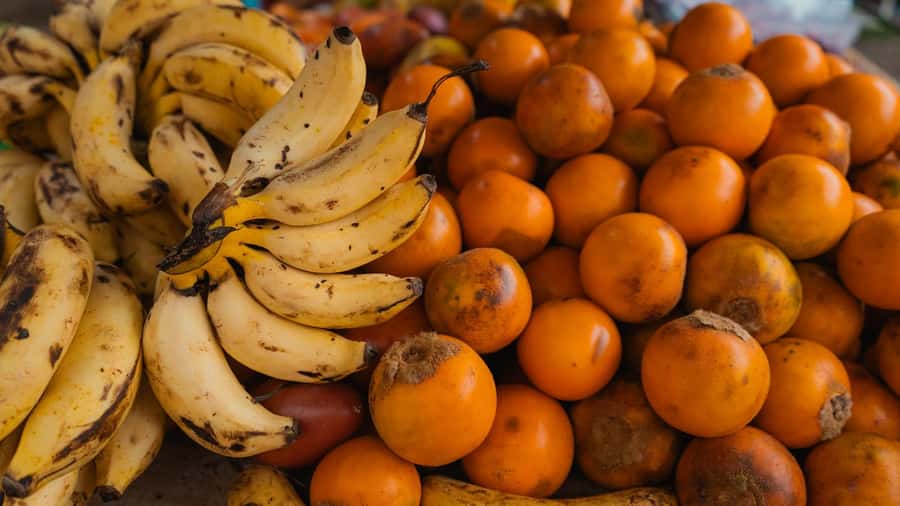 Santa Marta Street Food Tour - Key points to know before you book
