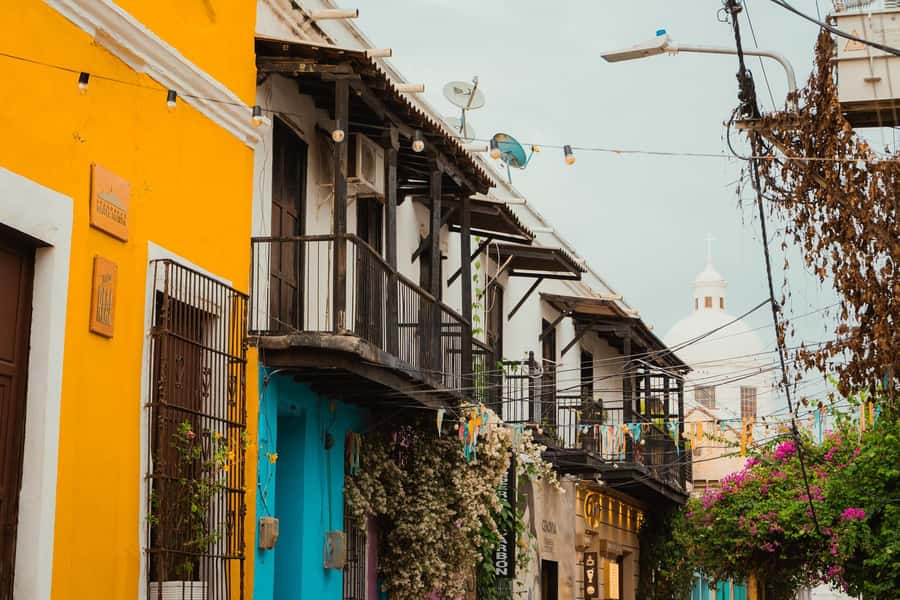 Santa Marta Street Food Tour - What the $91 price means