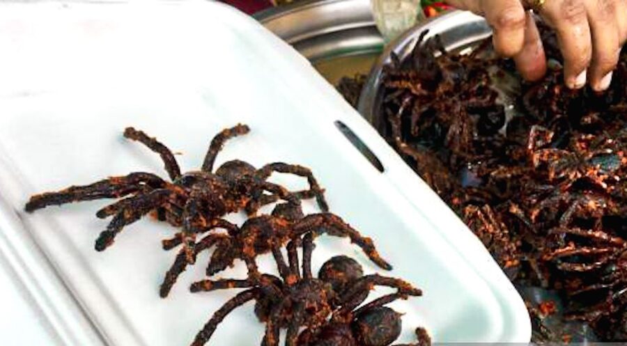 Siem Reap: Cambodia local street foods and local guide - Practical details before you book