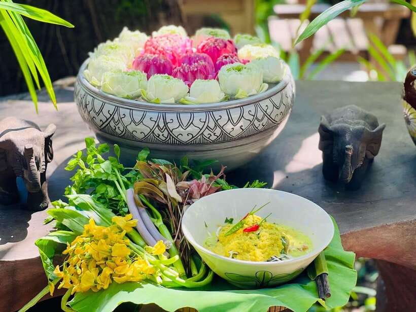 Siem Reap: Street Food Experience by Tuk-Tuk - ASANA Old Wooden House is a fitting final stop
