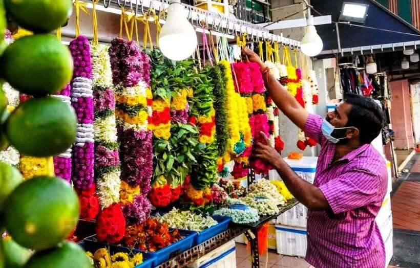 Singapore: Street Food & Ethnic Quarters Kick Scooter Tour - Key points to know before booking