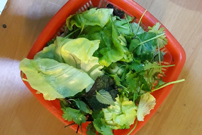 Small Group Hanoi Street Food Tour with a Real Foodie - Vegetarian, vegan, and other food needs