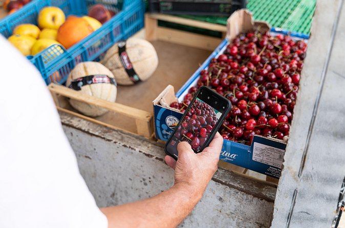 Small-group Street food tour in Rimini - Rimini beyond the beach resorts
