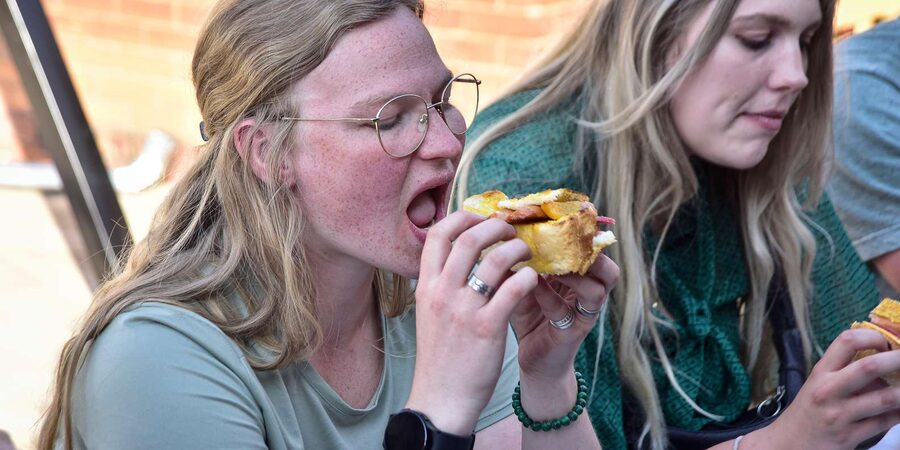 Soweto Food and Beer Tasting Walking Tour with a Local - Soweto Towers and Vilakazi Street