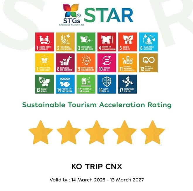 Taste of Chiang Mai: Michelin Guide & Street Food Tour - Key points to know before booking
