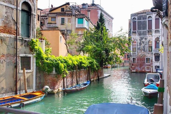 Tasty Street Food Tour of Venice City Center with Cicchetti & Local Specialties - Walking conditions and practical planning