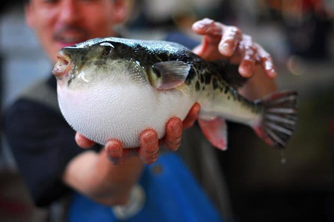 Tokyo:Enjoy street food & Japanese food culture at Tsukiji Market - Is $100.34 a fair price?