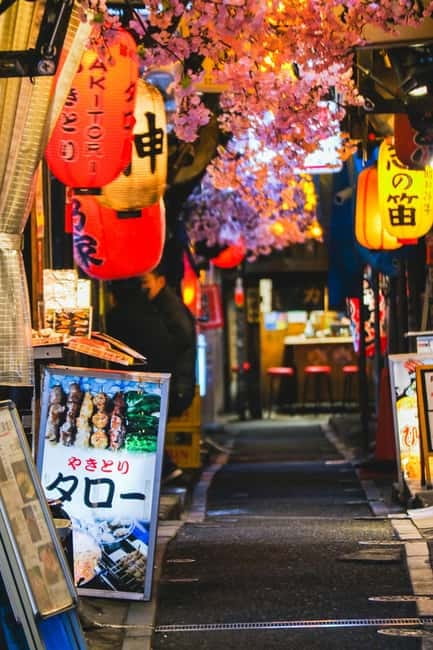 Tokyo: Shinjuku Local Eats, Street Food Tour & Culture Walk - Key points to know before booking