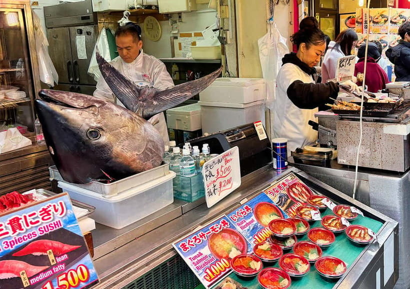 Tsukiji Fish Market: Street Food & Culture Walking Tour - Should you book it?