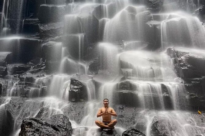 Ubud Day Tour : Waterfall, Temple and Local Night Market Tour - The guide can shape the whole day