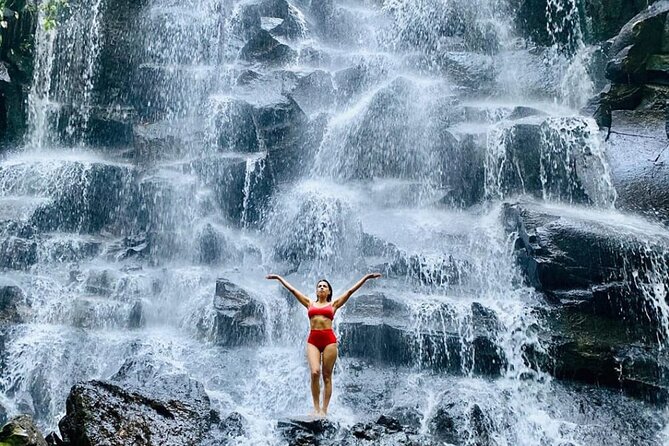 Ubud Day Tour : Waterfall, Temple and Local Night Market Tour - Who should book this tour?