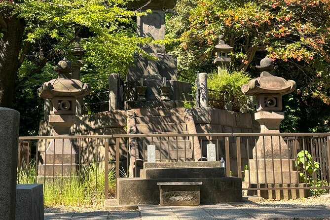 Ueno Park and Ameyoko Street Food Market Half Day Walking Tour - What $45 Buys You