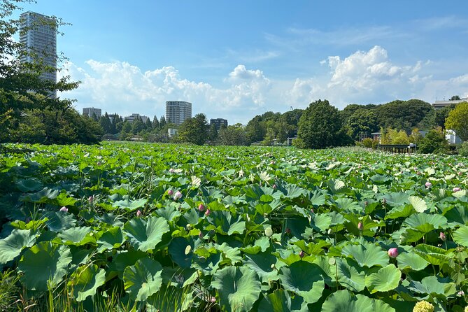 Ueno Park and Ameyoko Street Food Market Half Day Walking Tour - Timing, Walking, and Weather