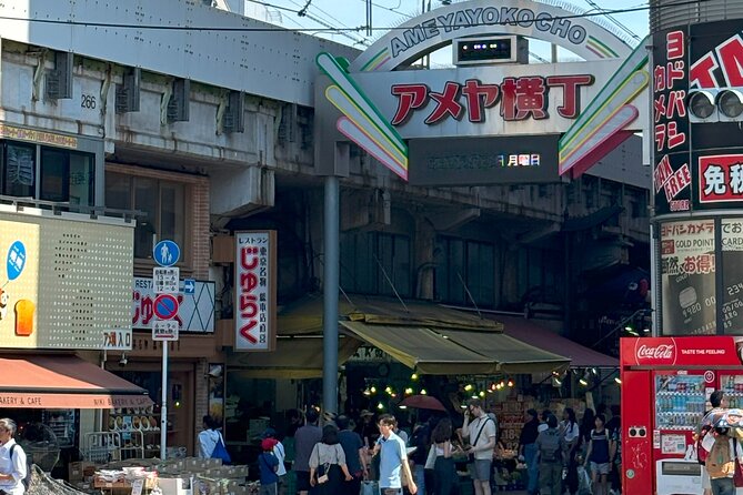 Ueno Park and Ameyoko Street Food Market Half Day Walking Tour - Who Will Get the Most From This Tour