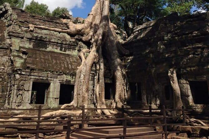 Ultimate Siem Reap Food Tour by Tuk Tuk - 20 Tastings, 8 Stops - A tucked-away dish chosen by the driver