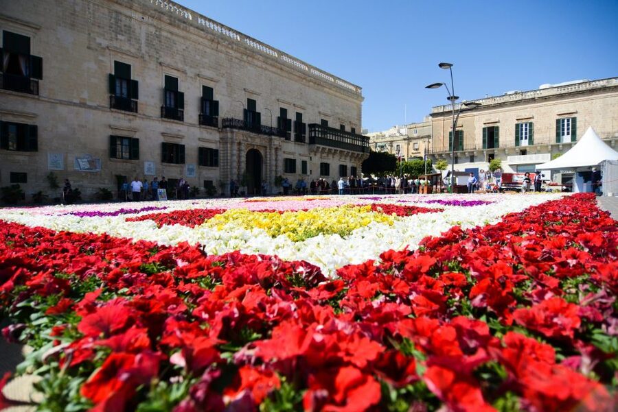 Valletta: Street Food and Culture Walking Tour - Starting at Valletta’s City Gate