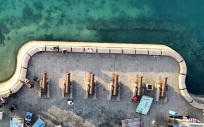 Zanzibar: Stone town tour, Prison island & night food market